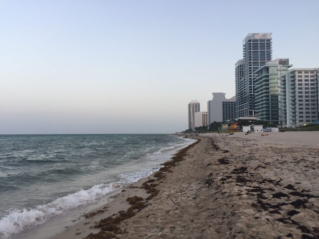 Miami Beach
