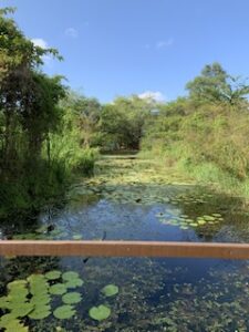 Roteiro de 5 dias em Fortaleza - Parque do cocó
